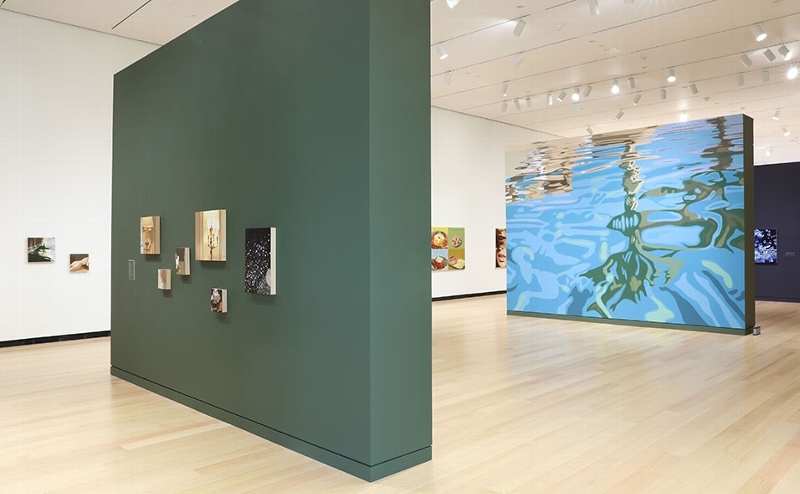 Installation views of Julia Jacquette: Unrequited and Acts of Play, Ruth and Elmer Wellin Museum of Art at Hamilton College (February 18 – July 2, 2017). Photos by John Bentham